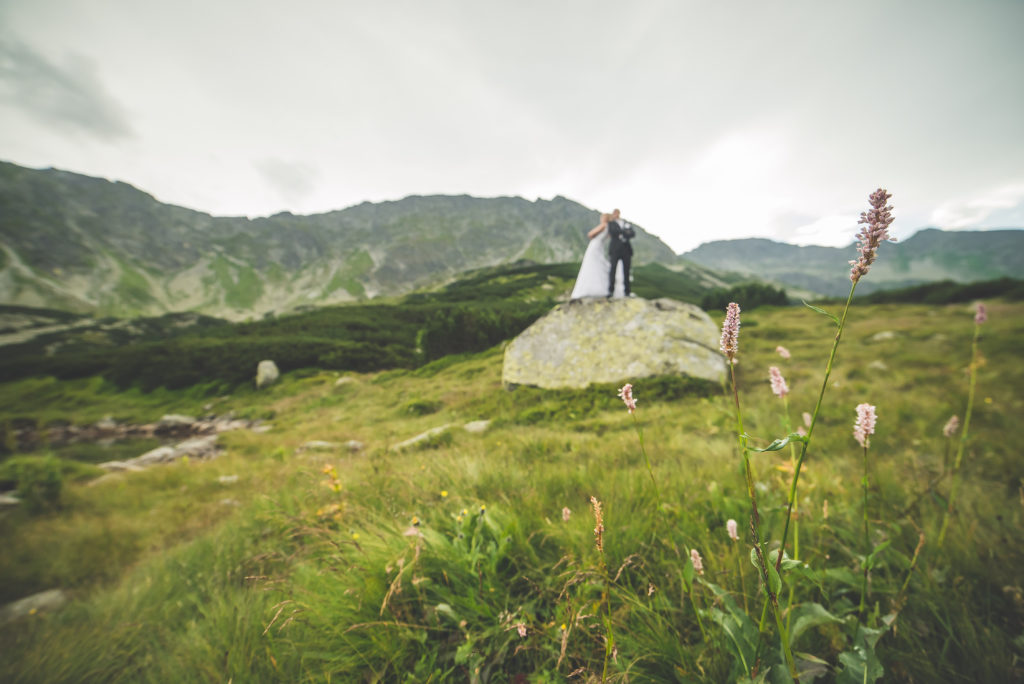 Tatry wesele