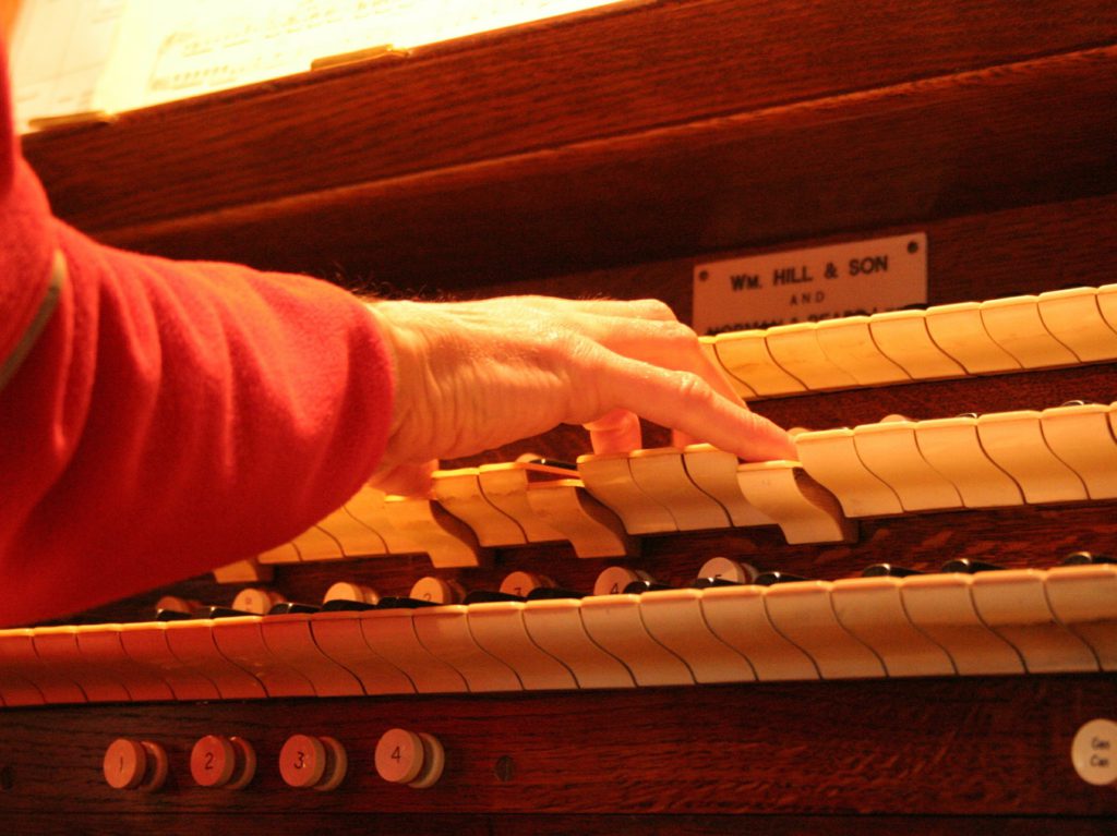 Organista